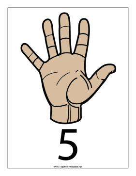 Number 5-Filled-With Label